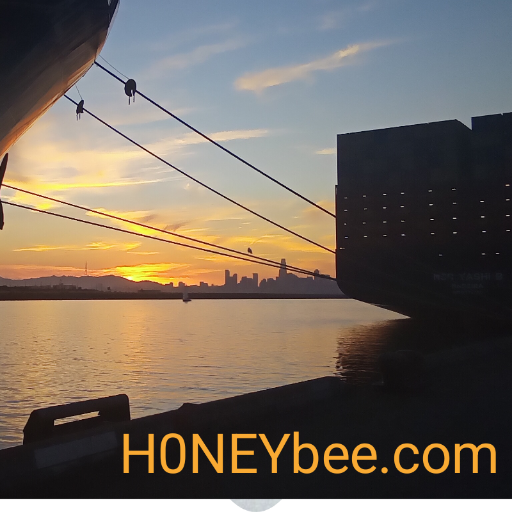 h0neybee.com ®